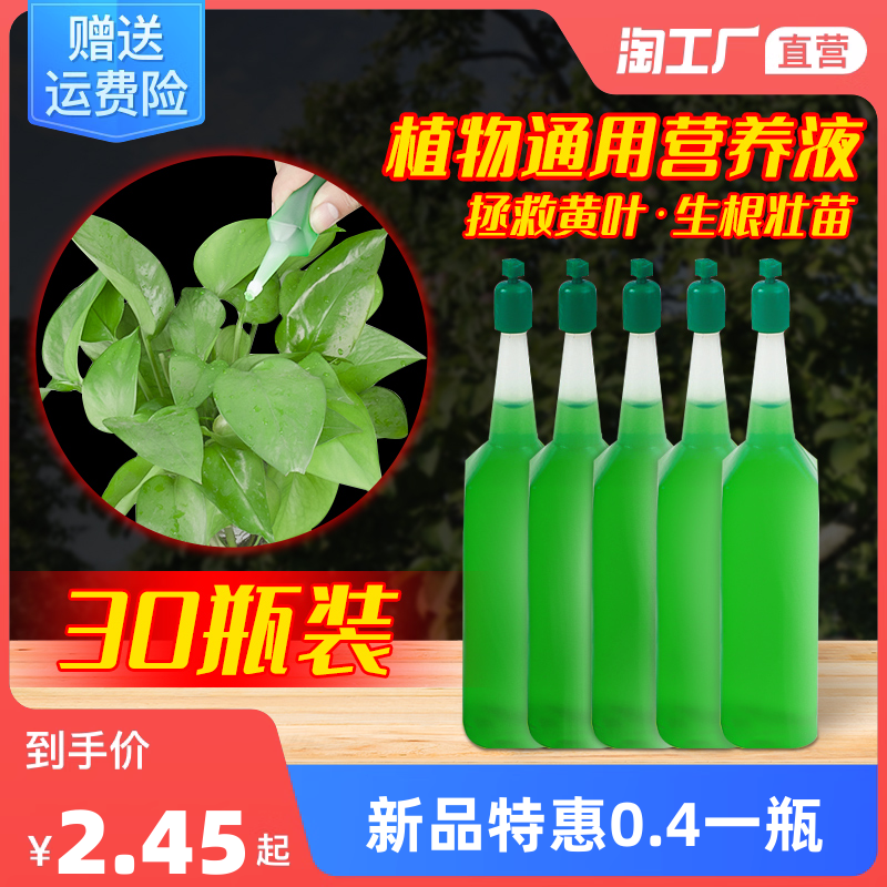 花卉網購熱潮 現(xiàn)代生活的新寵與消費趨勢解析