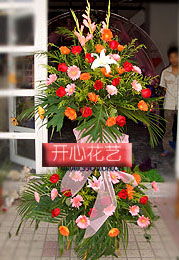 春季煥新進行時 特價鮮花與精選苗木指南