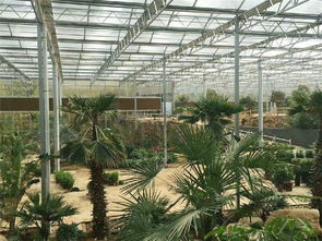 智慧農業新篇章 青州瀚洋農業引領智能溫室產業，賦能蔬菜生產現代化